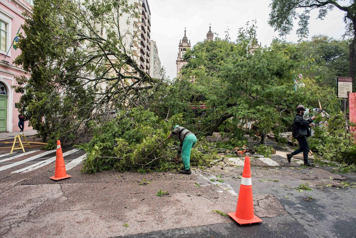 Equipe da prefeitura retira árvore caída em consequência da chuva em Porto Alegre. Foto: Luciano Lanes/PMPA/via Fotos Públicas.