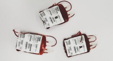 Imagem meramente ilustrativa de bolsas de sangue. Foto: Charlie-Helen Robinson no Pexels.