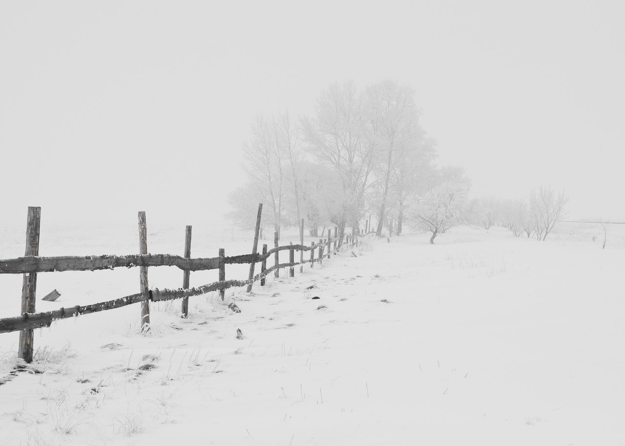 Imagem meramente ilustrativa de neve. Foto de Pixabay no Pexels.