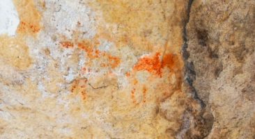 UEPG realiza inventário de sítios arqueológicos com pinturas rupestres nos Campos Gerais