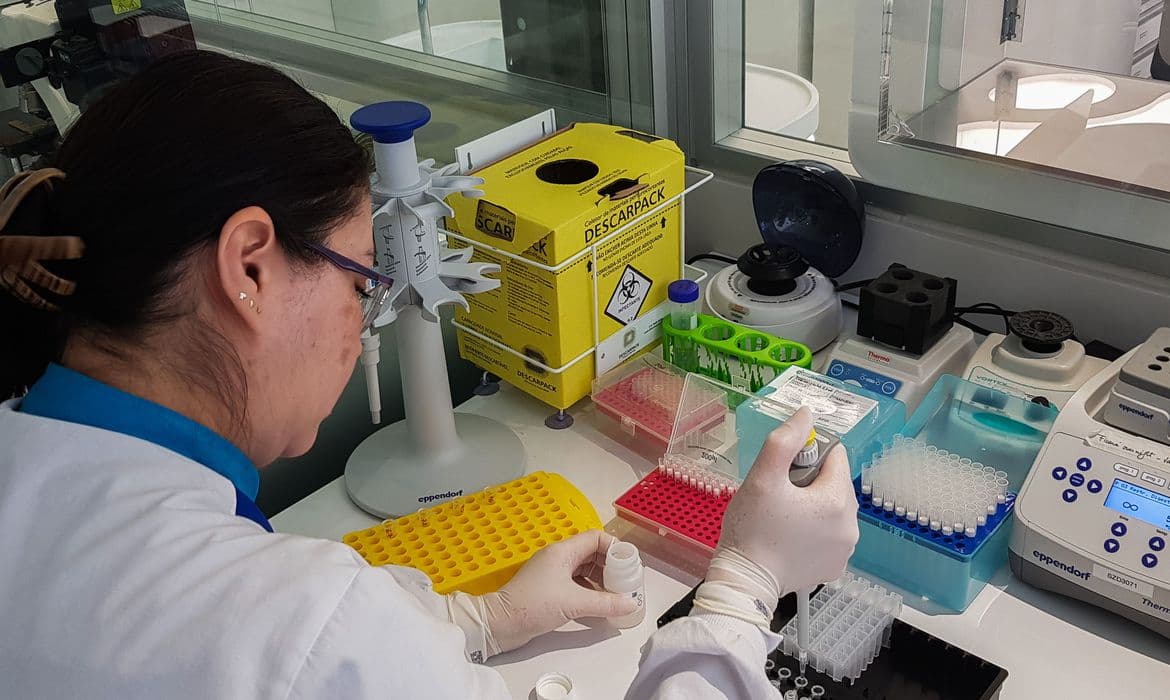Procedimento de extração de DNA. Foto: © Camila Boehm / Agência Brasil.