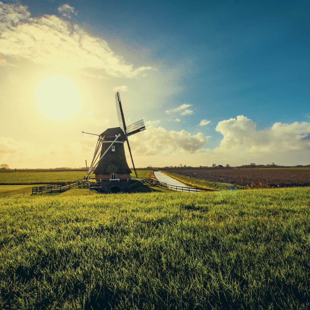 Holanda turismo: tudo o que você precisa saber!. Foto: Tom Swinnen.